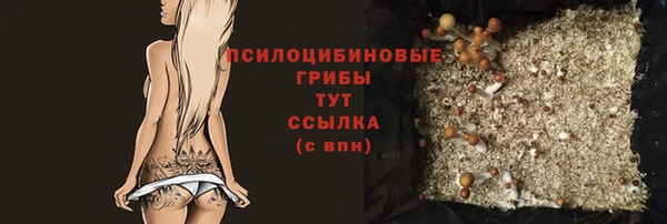 МДПВ Анжеро-Судженск