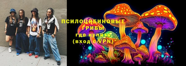 метадон Новозыбков